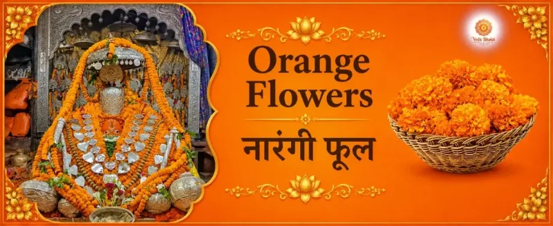 Orenge Flower