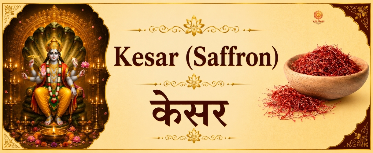 Keshar (saffron)