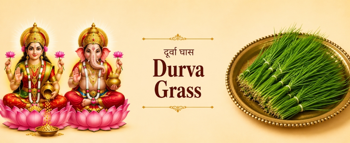 दूर्वा घास