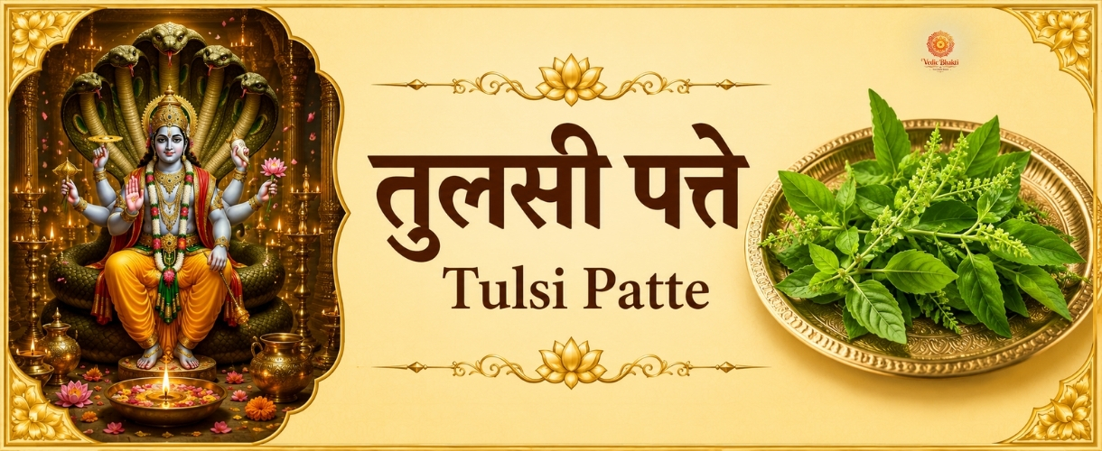 Tulsi Leaves