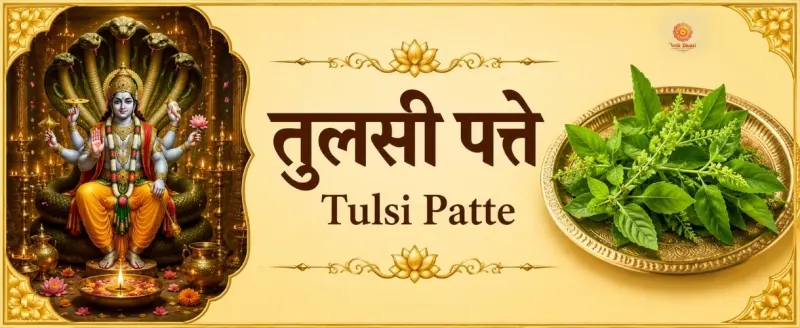 Tulsi Leaves
