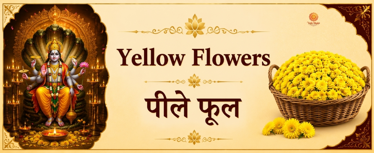 Yellow Flawer