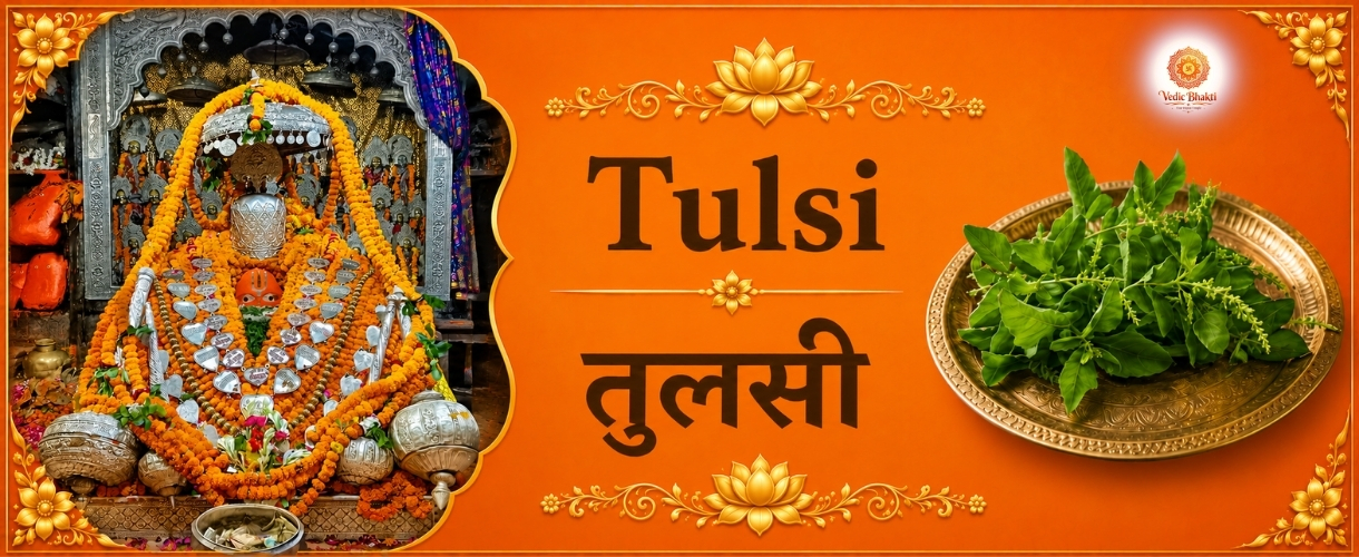 Tulshi