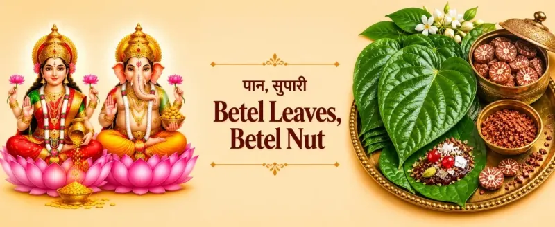 Betel Leaves Betel Nut