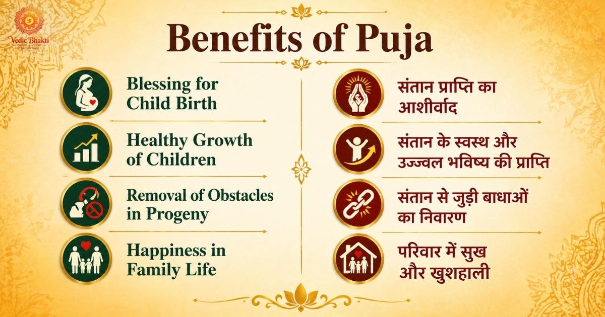Santan Gopal Puja & Aarti for Blessing of Child Birth & Child Growth thumbnail 5
